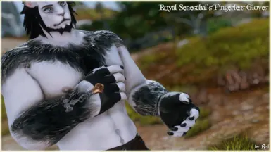 Royal Seneschal's Fingerless Gloves (hrBody)