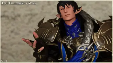 Lord Commander's Gloves (TB2.0)