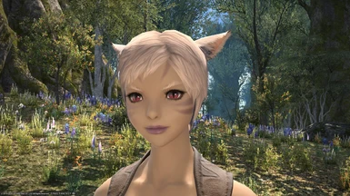 Mod categories at Final Fantasy XIV Nexus Mods and community. 