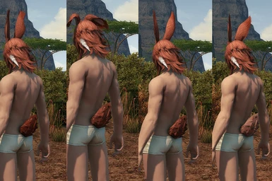 Fluffy male Viera Tails - Corrected Preview
