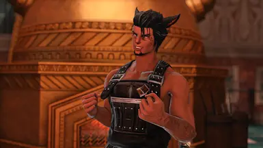 Forgesoph's Apron (Type M and 5c)