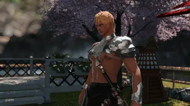 Highlander Idle Poses 3 and 4 for Midlanders