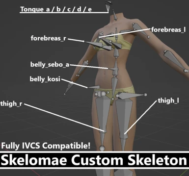 Skelomae Custom Skeleton (with Devkit)