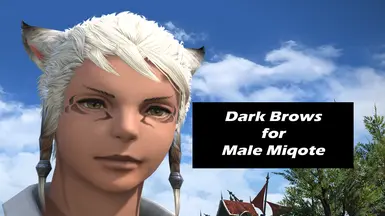 Dark Brows for Male Miqote