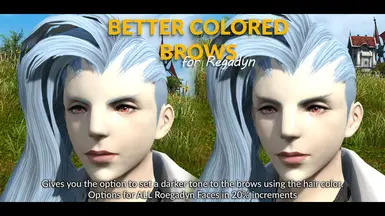 Better Colored Brows for Roegadyn