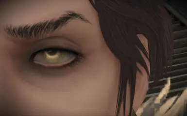 Fragment Eyes - Preview_3