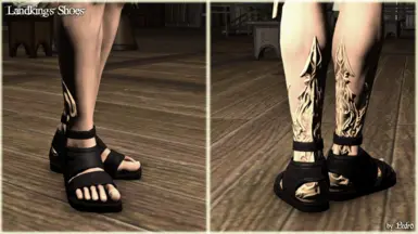 Landking's Shoes (TB2.0)