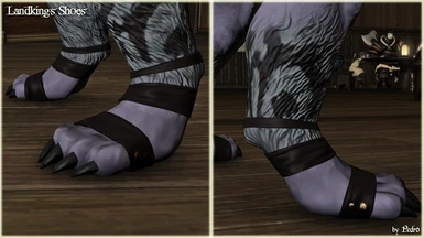 Landking's Shoes (Anatomically Correct hrBody)