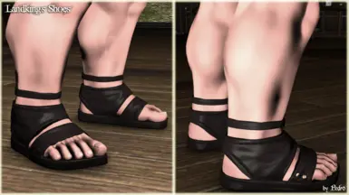 Landking's Shoes (hrBody)