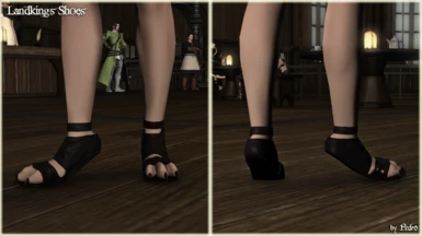 Landking's Shoes (The New Viera Feet)