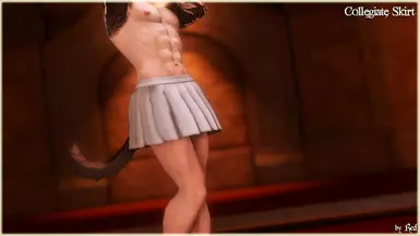 Collegiate Skirt (TB2.0)