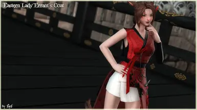Eastern Lady Errant's Coat (TnF2)