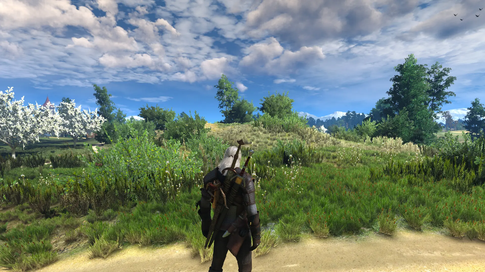 The witcher 3 ultra mod фото 100