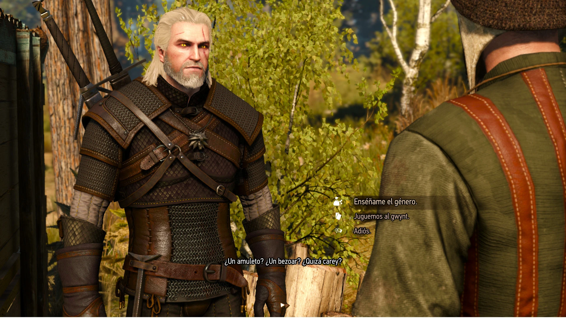 The witcher 3 all school gear фото 58