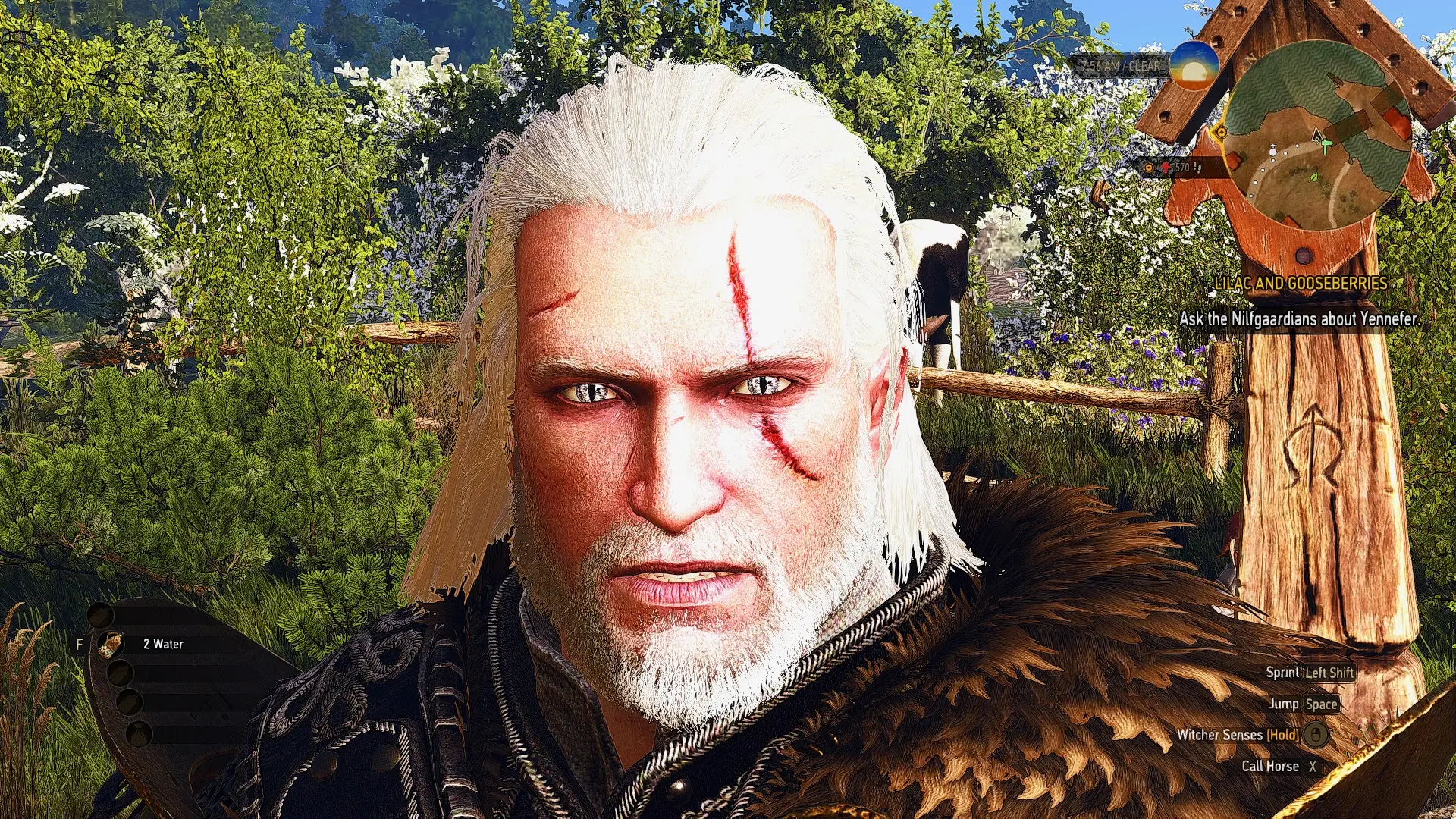 The witcher 3 eyes mod фото 12