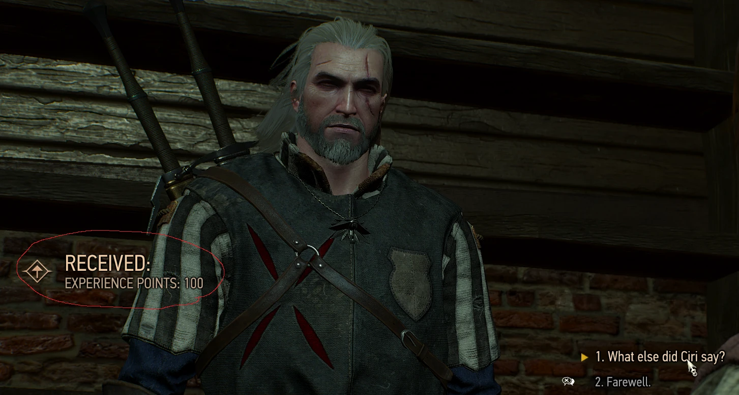 witcher 3 more xp mod