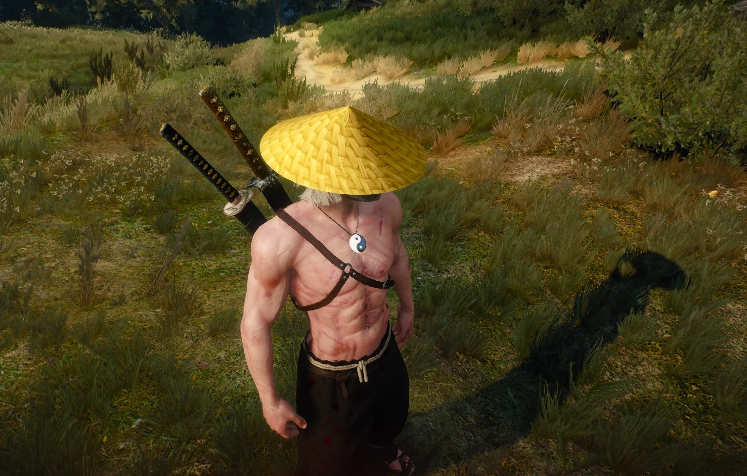The witcher 3 geralt on steroids фото 104