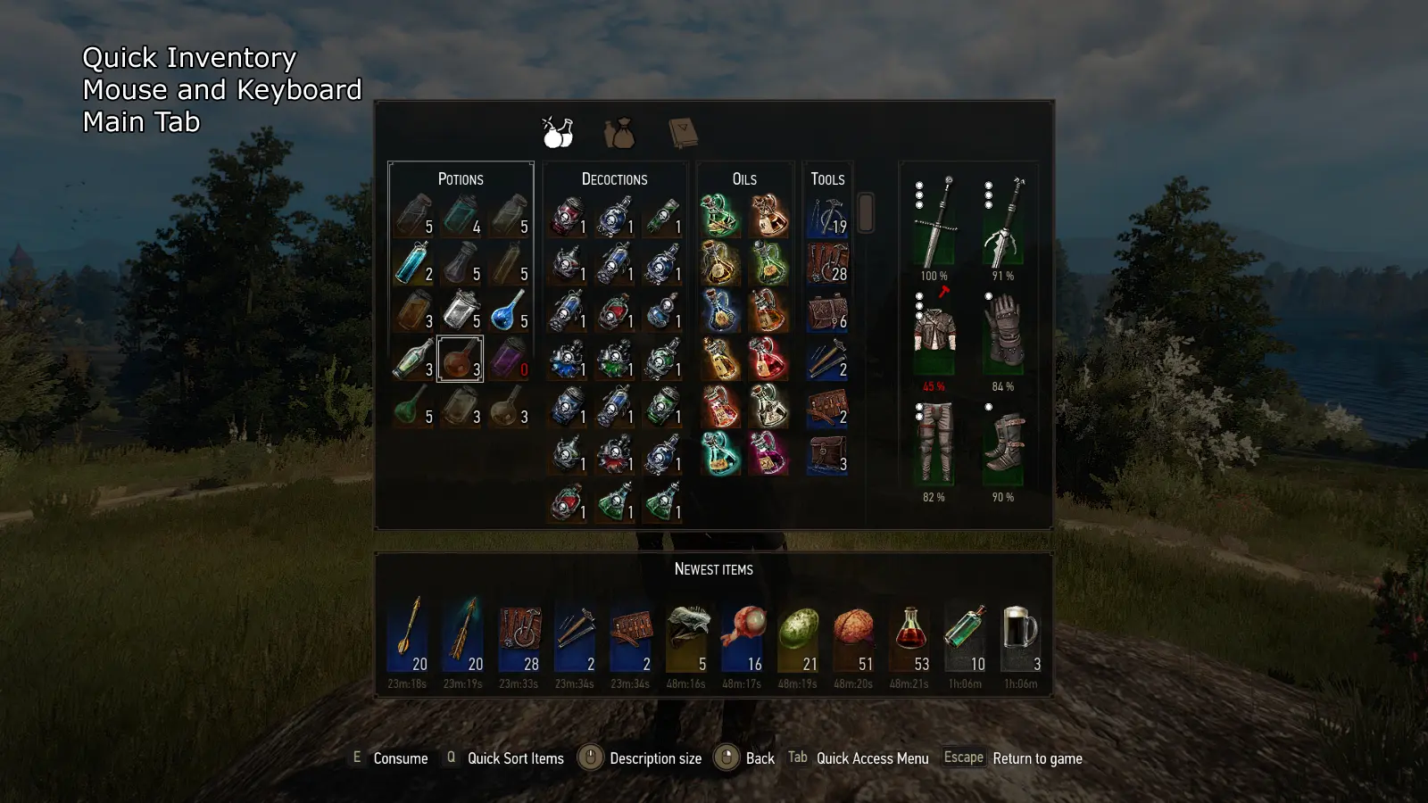 Witcher 1 Potion Quick Slots