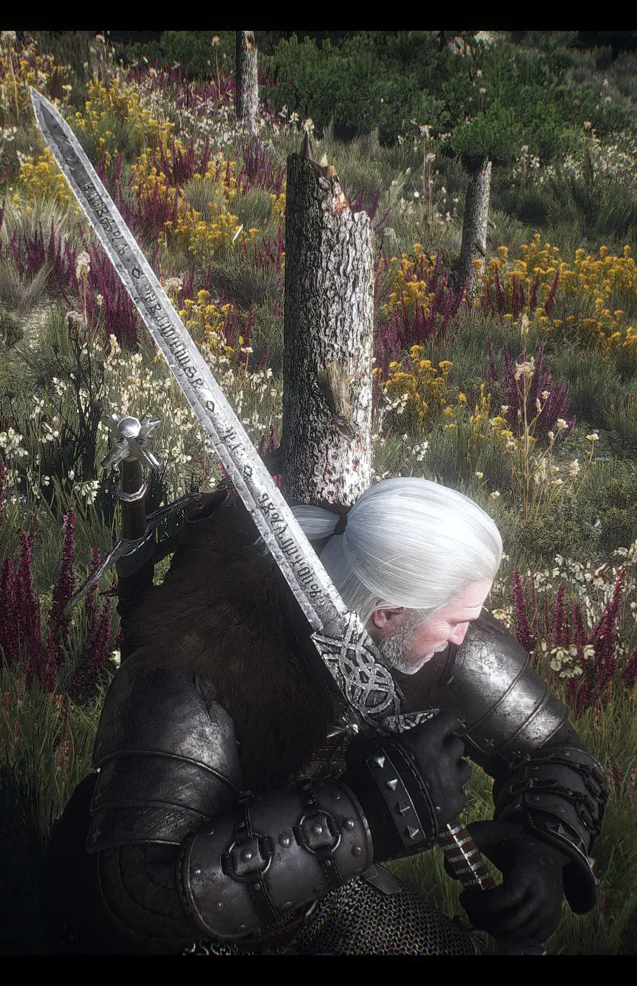 witcher 3 sword mods