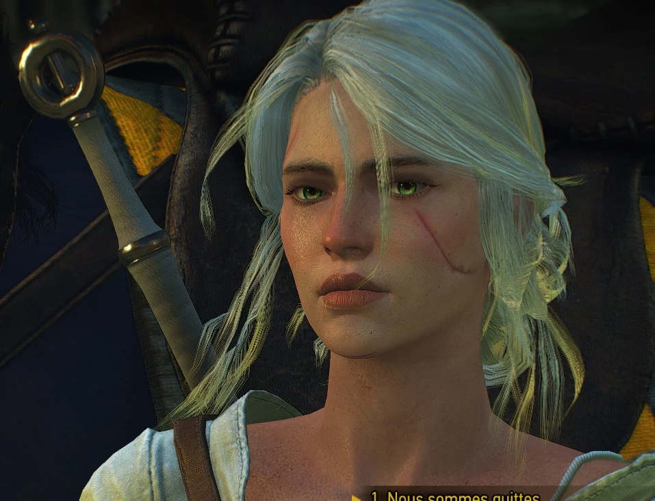 New Face For Ciri V20 At The Witcher 3 Nexus Mods And Community.