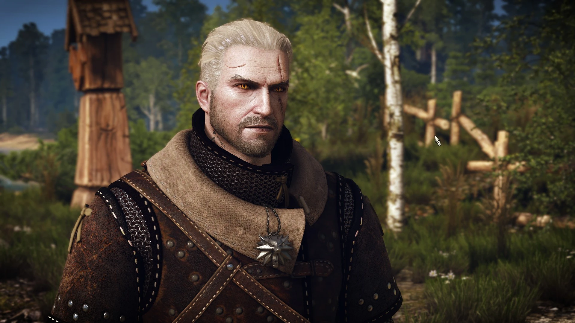The witcher 3 witcher gear фото 78
