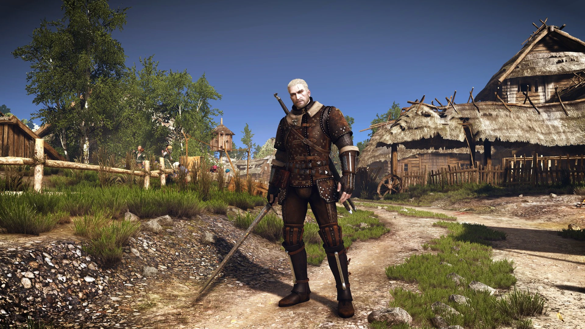 The witcher 3 witcher gear cat фото 23