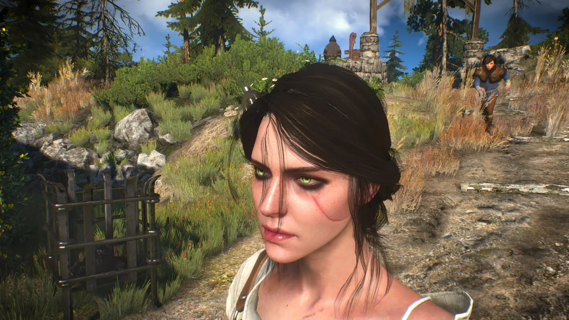 witcher 3 hair mods