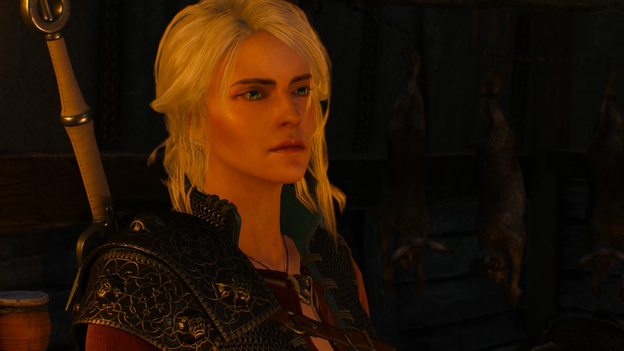 witcher 3 points of no return