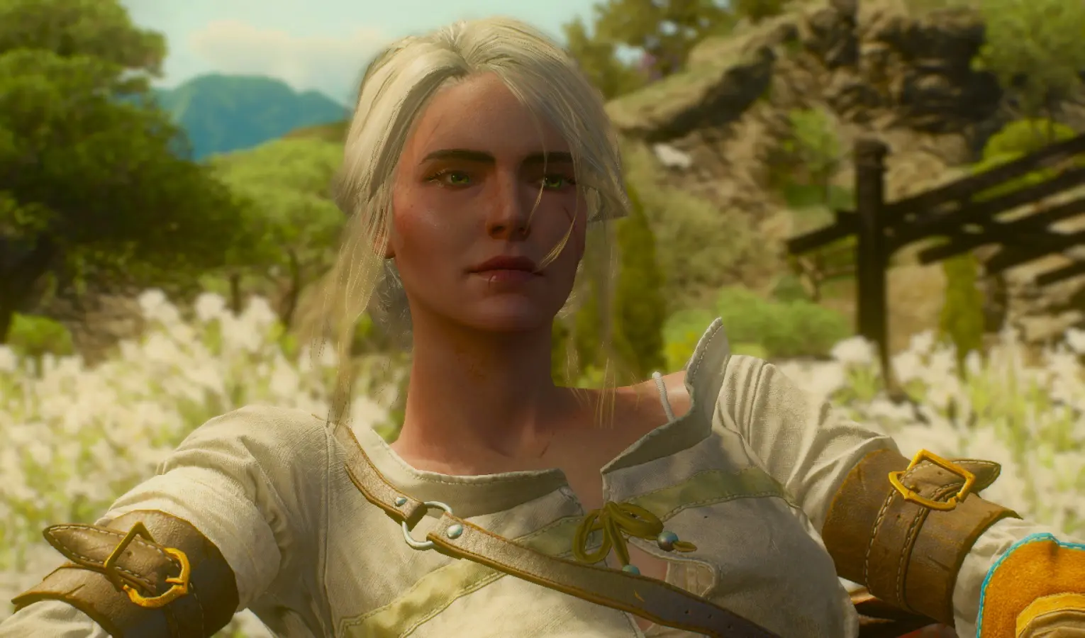 Ciri - Less Makeup at The Witcher 3 Nexus - Mods and community