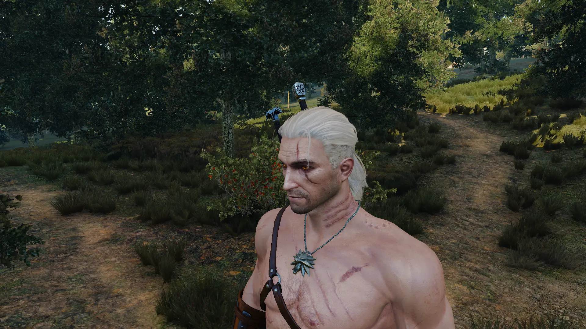 Striga Scars on Geralt at The Witcher 3 Nexus - Mods and community