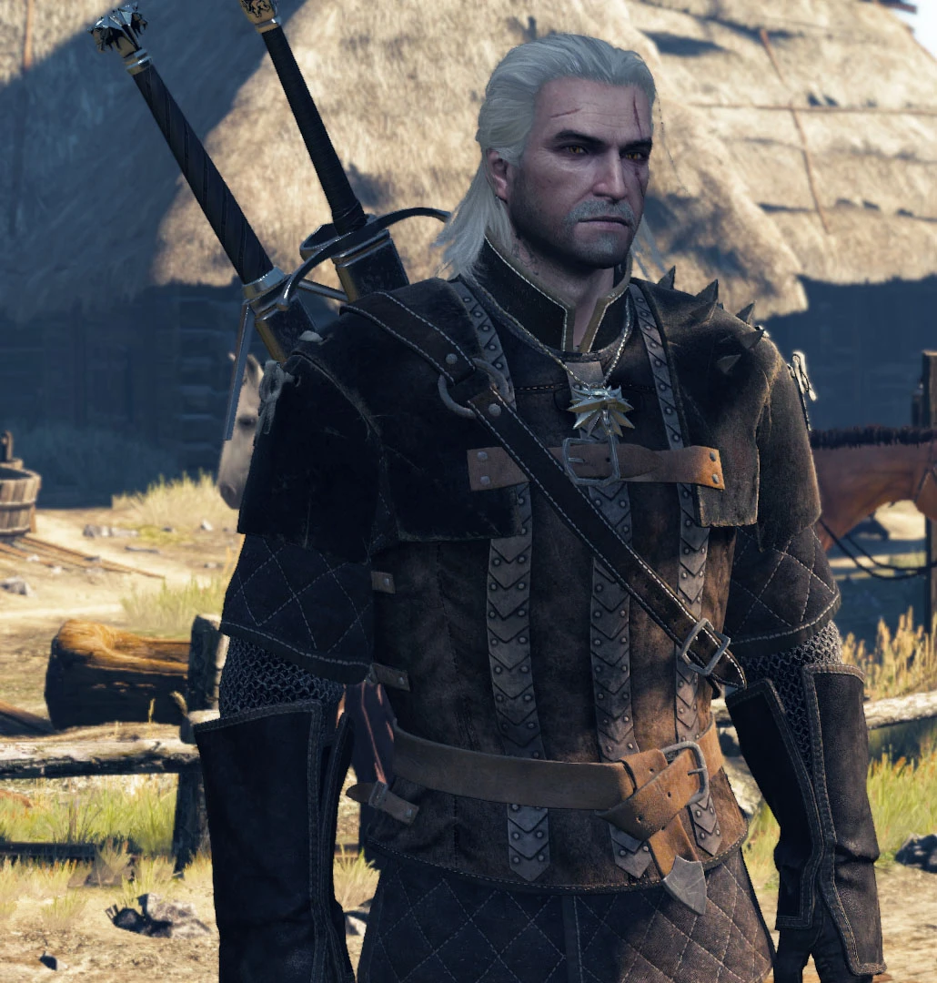 gay witcher 3 mods