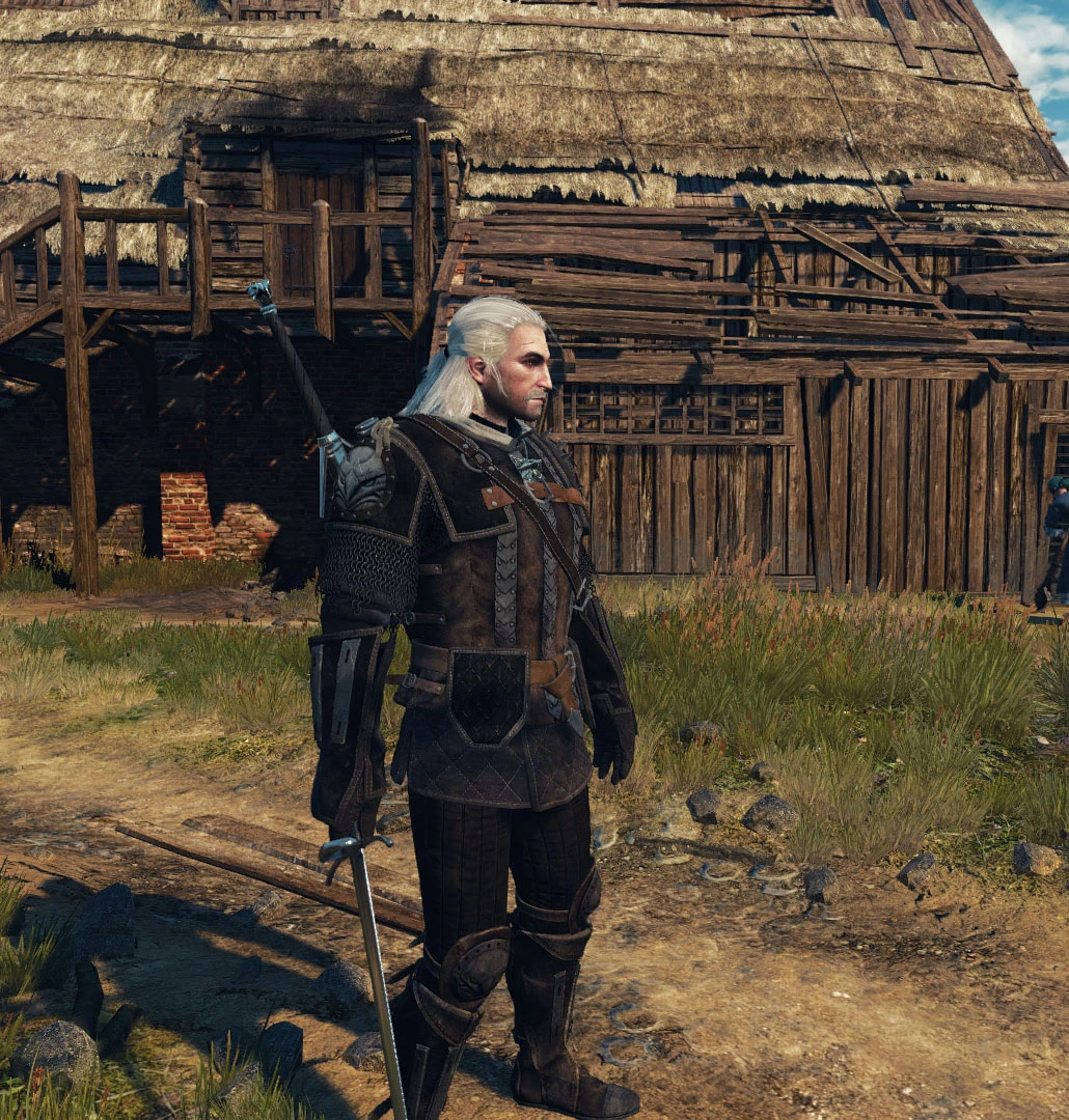 The witcher 3 griffin school hunt фото 26
