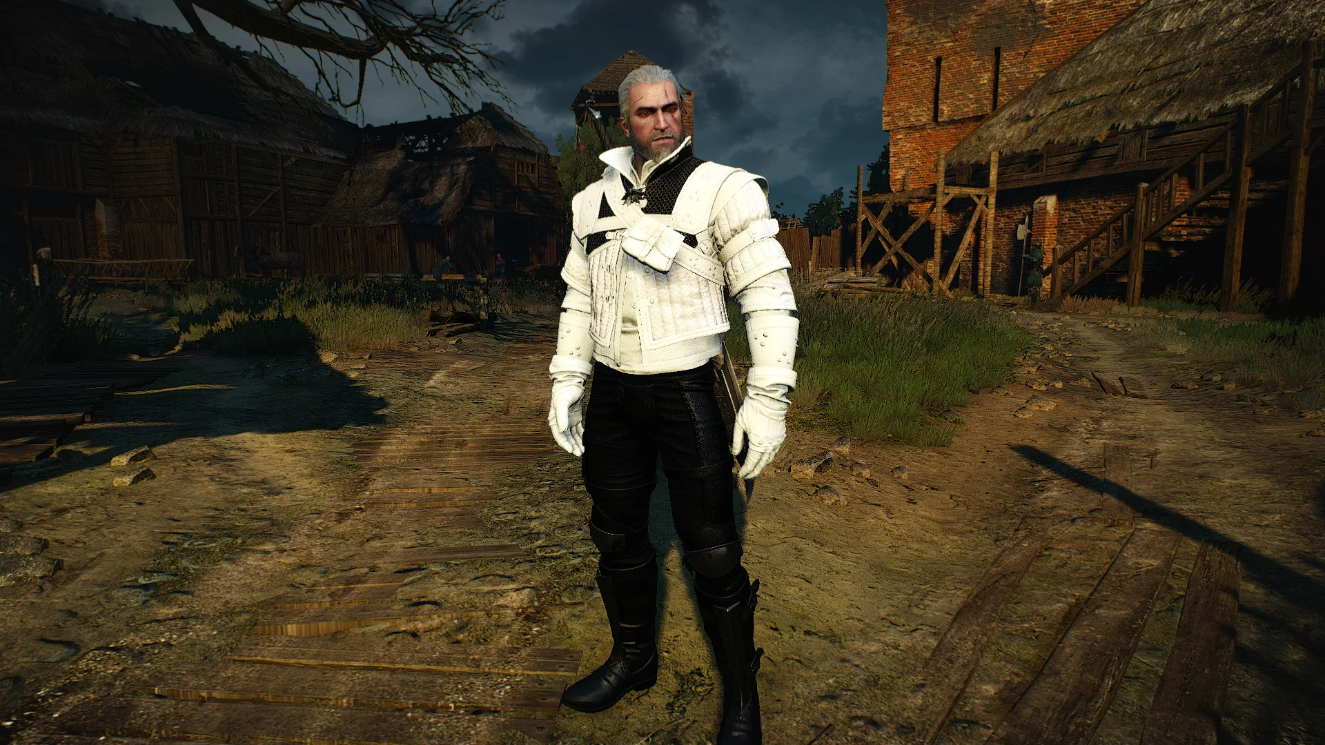 The witcher 3 school wolf фото 60