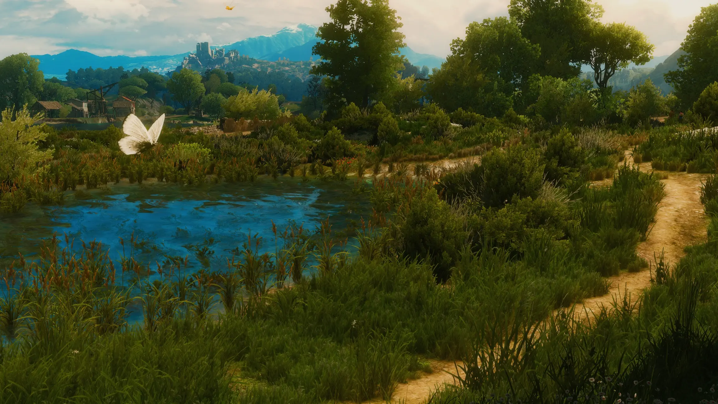 The witcher 3 grass mod фото 94