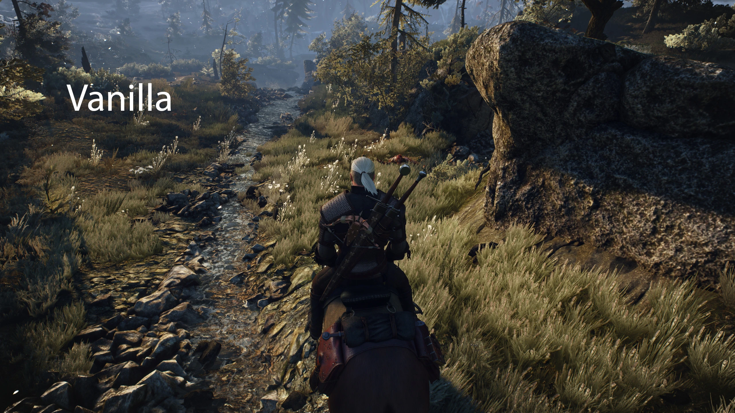 The witcher 3 next gen patch фото 6