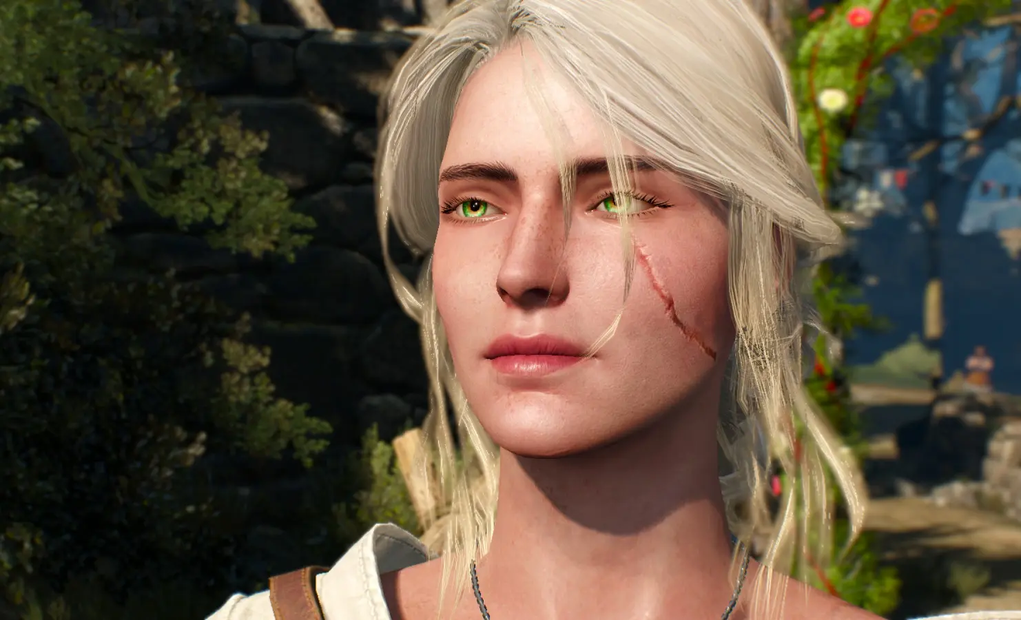 Ciri Face retexture better scar at The Witcher 3 Nexus - Mods and community