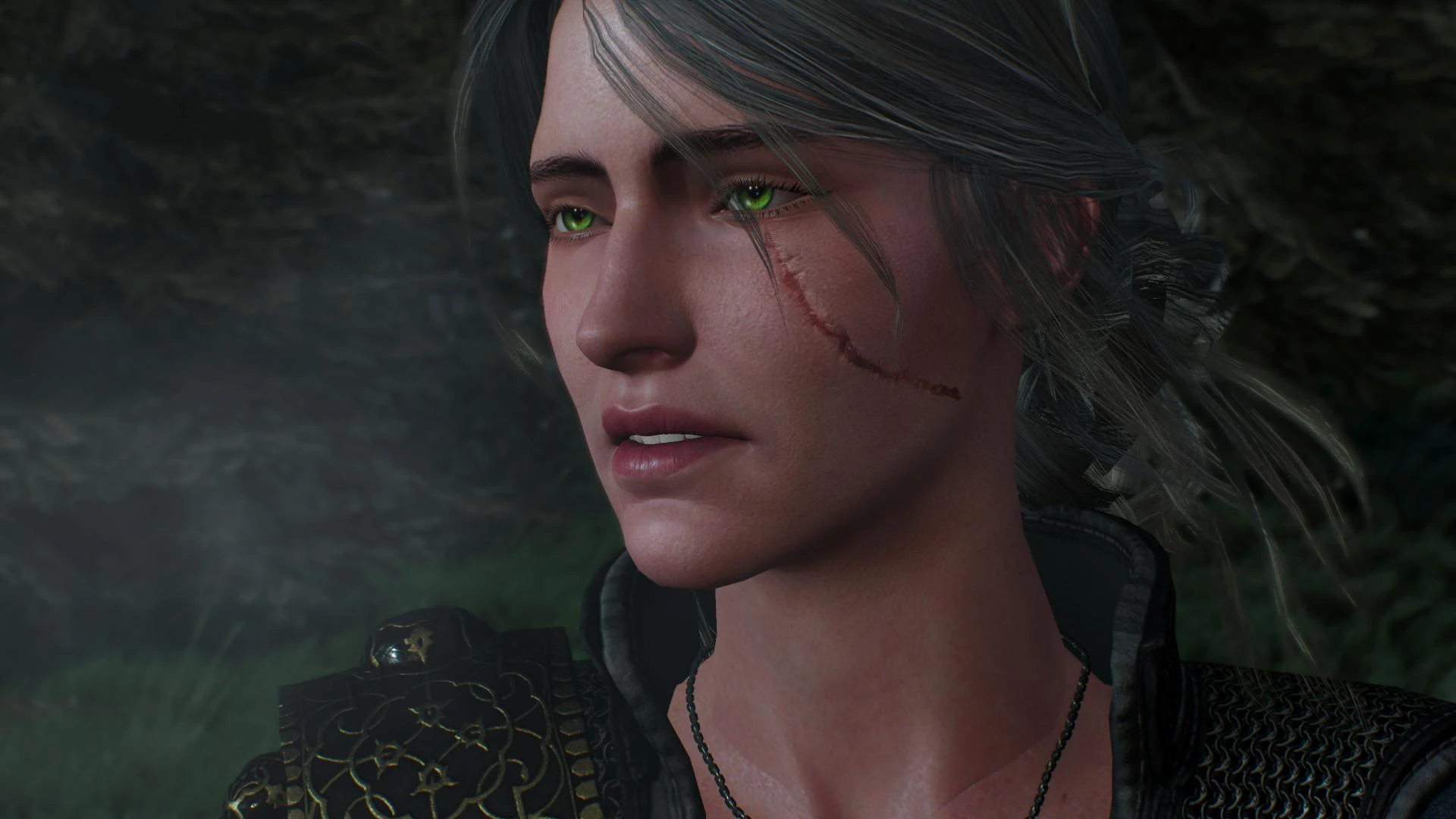 Ciri Face Retexture Better Scar At The Witcher 3 Nexus Mods And Community.