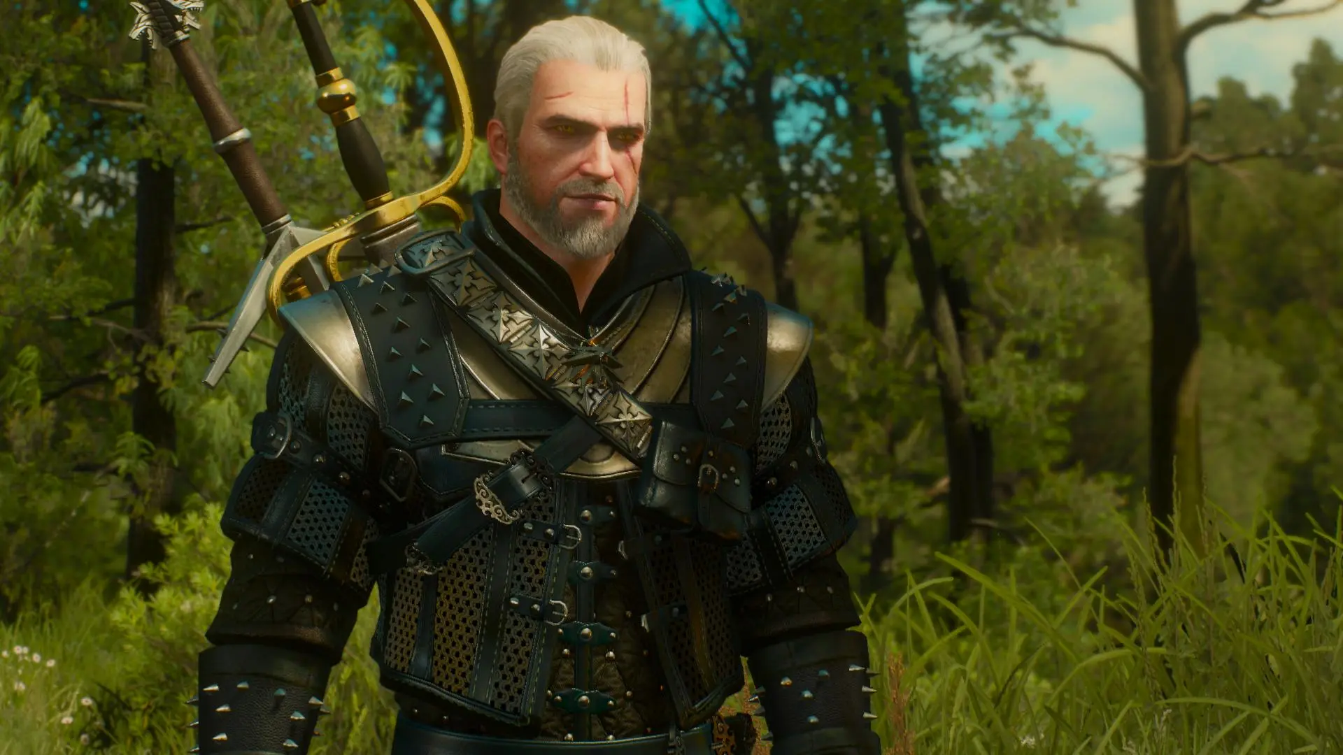 The witcher 3 читы броня фото 73