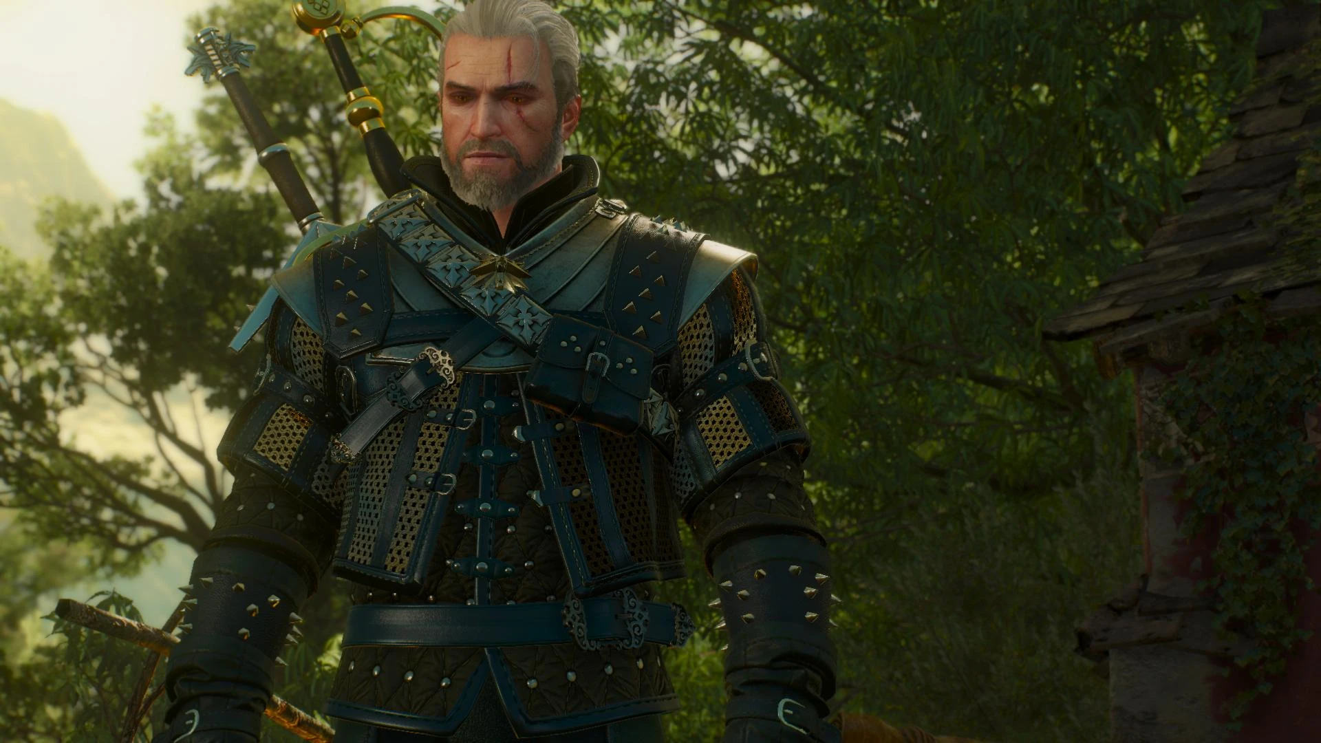 The witcher 3 all witcher armor sets фото 116