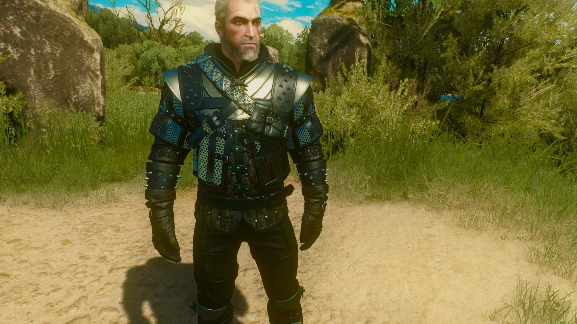 The witcher 3 school of wolf фото 21
