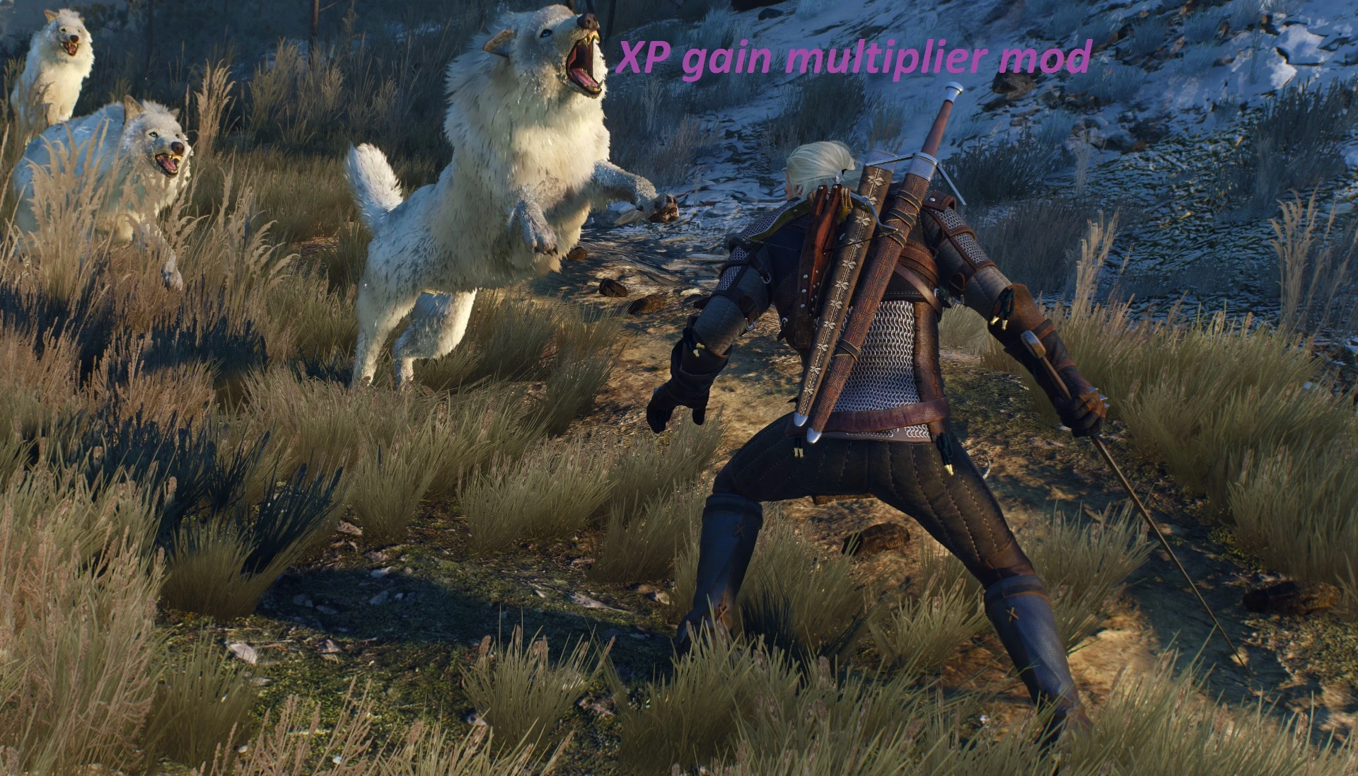 where to install witcher 3 mods