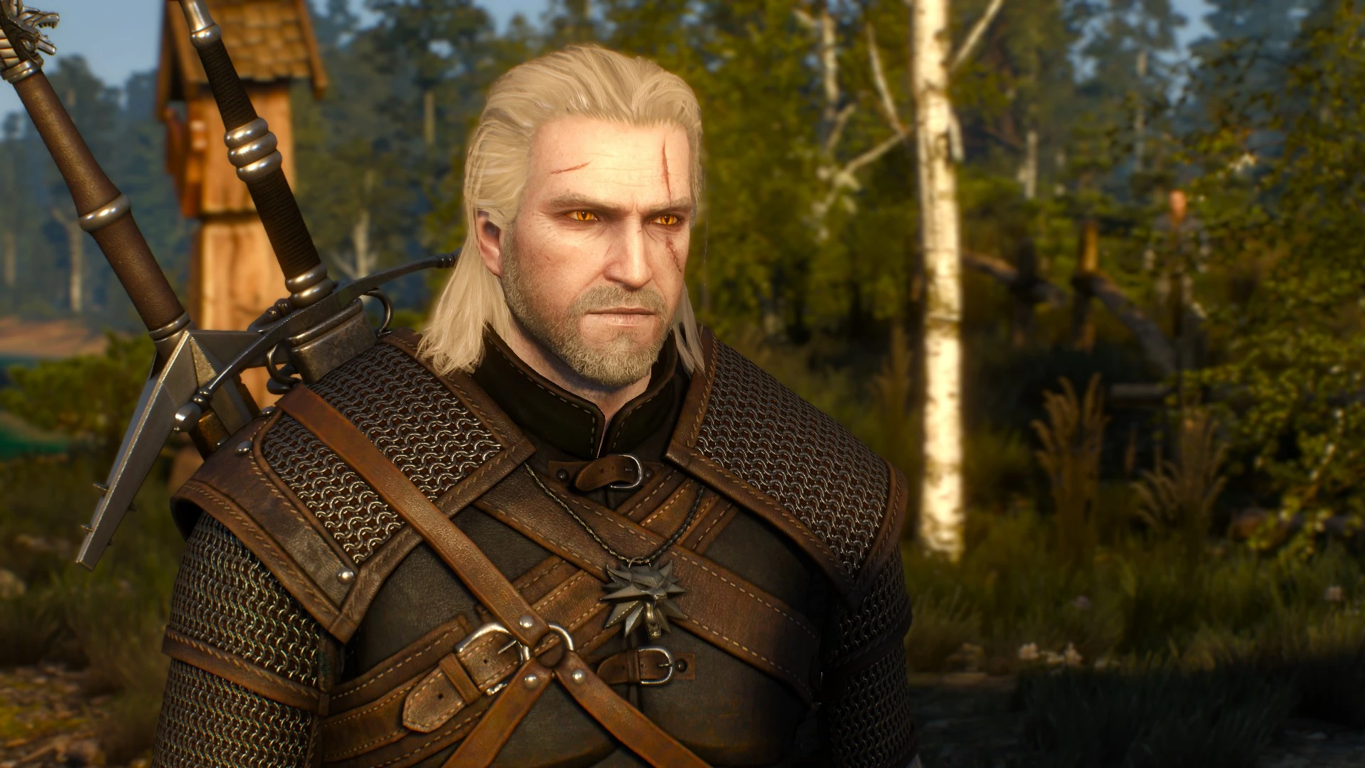 The witcher 3 geralt hairstyle фото 118