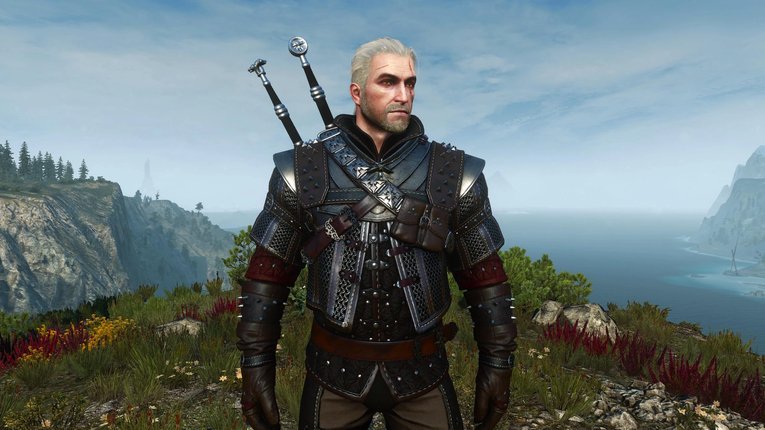 Master Armorers Witcher 3