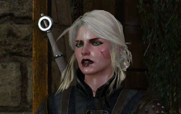 Beautiful Battle-worn Ciri at The Witcher 3 Nexus - Mods and community