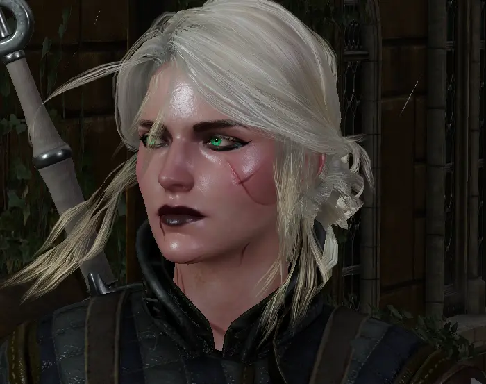 Beautiful Battle-worn Ciri at The Witcher 3 Nexus - Mods and community