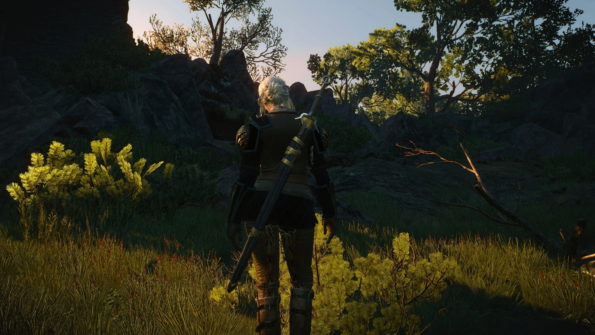 Gryphon's Scabbard for Ciri's Sword at The Witcher 3 Nexus - Mods and ...