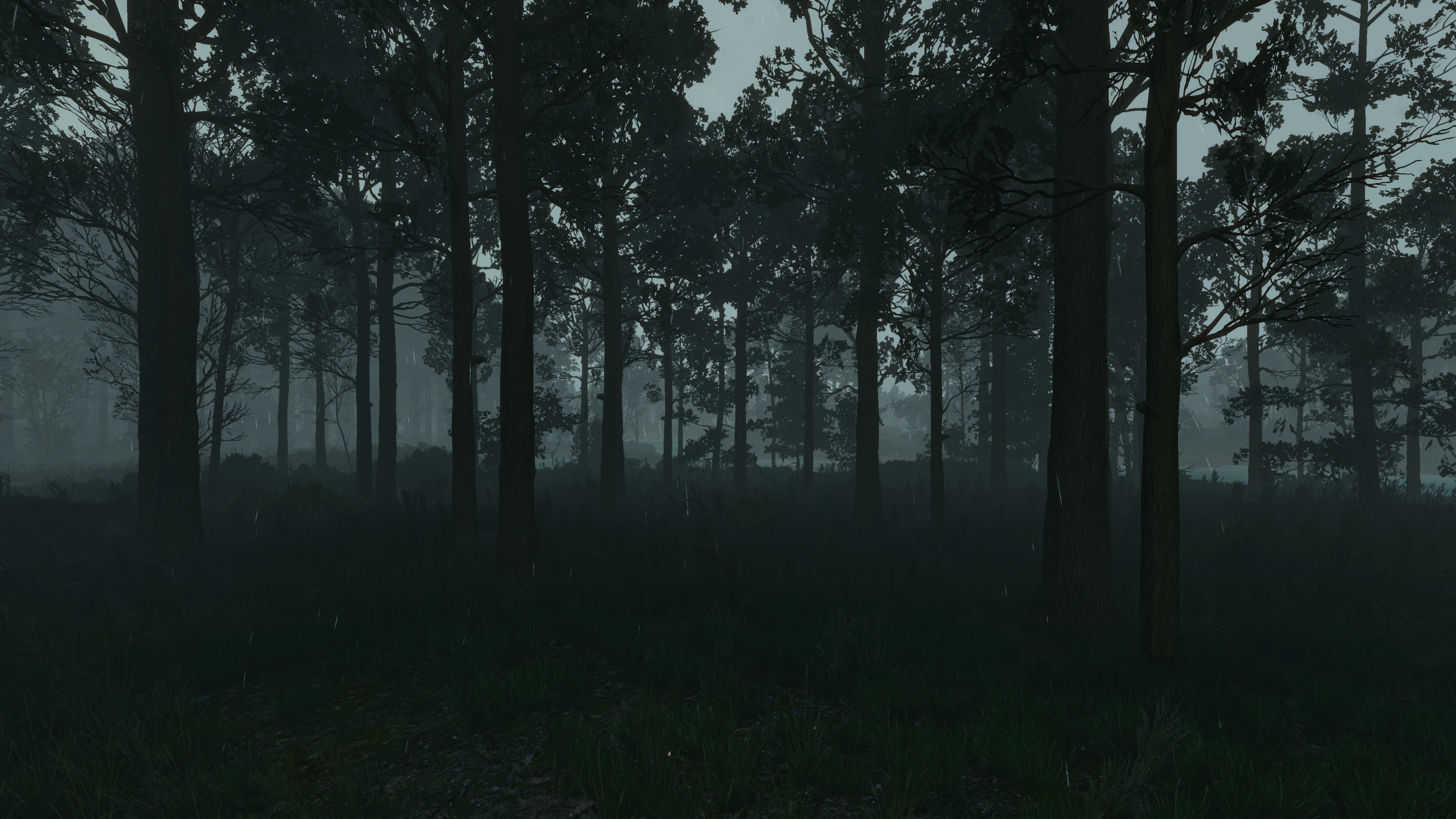 Включи лесной 3. Ведьмак 3 лес. Фон Ведьмак 3 лес темный. Realistic weather Ведьмак 3.