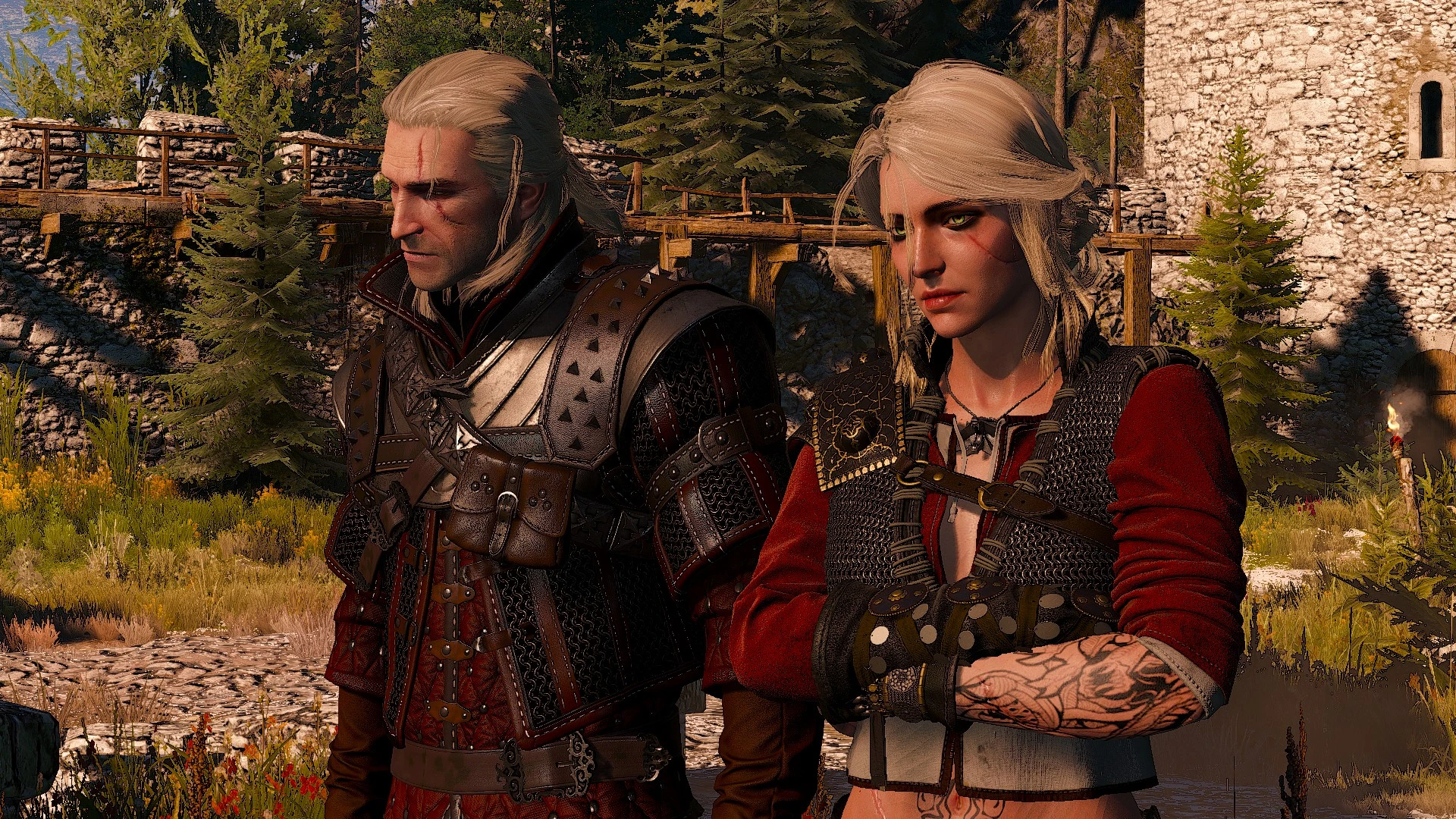 Ciri mods Pack at The Witcher 3 Nexus - Mods and community