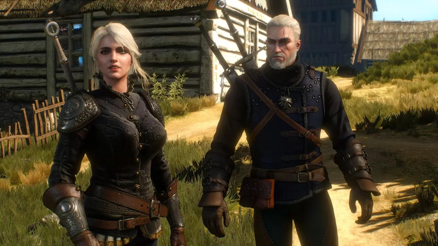 моды the witcher 3 фото 8