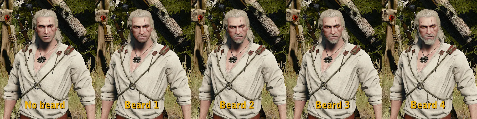 The witcher 3 wild hunt beard and hairstyle set что это